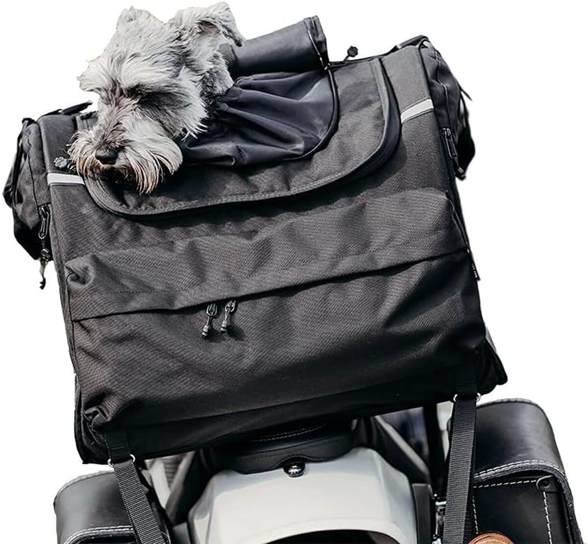 Test du DEEMEED Petbag : sacoche moto pour chien pratique et durable