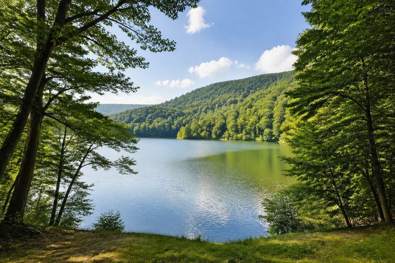 Réduction bruit vent : solutions pour bulles